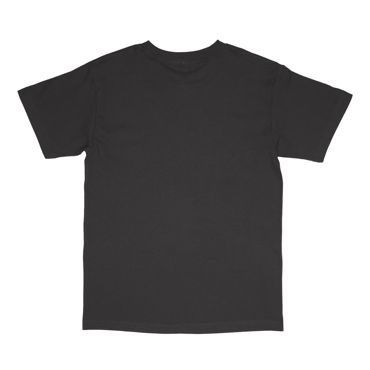 American Apparel 1301 - Unisex Heavyweight Cotton Tee - Black Back