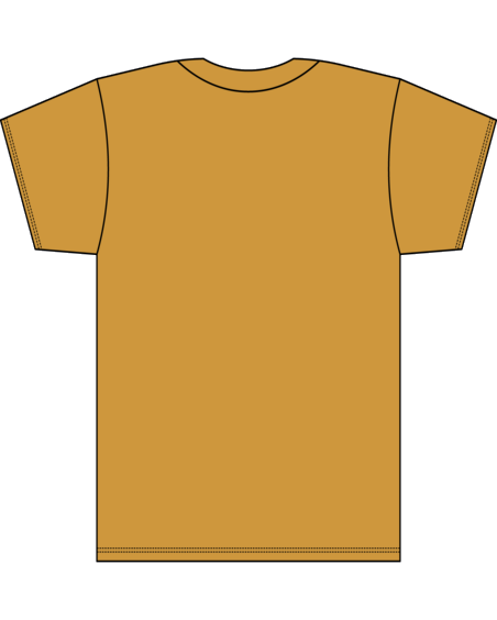 Next Level 7610N - Women's Heavyweight Boxy T-Shirt - Antique Gold Back